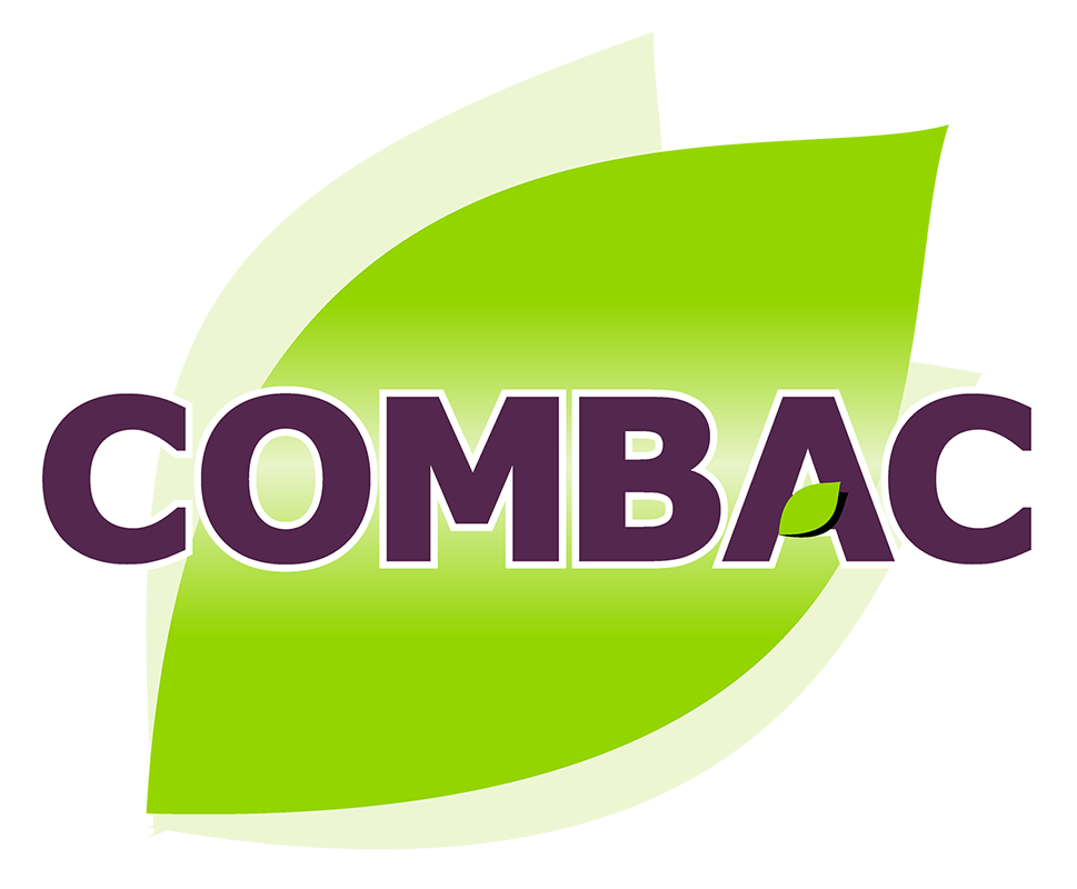 eckobell.com.mx