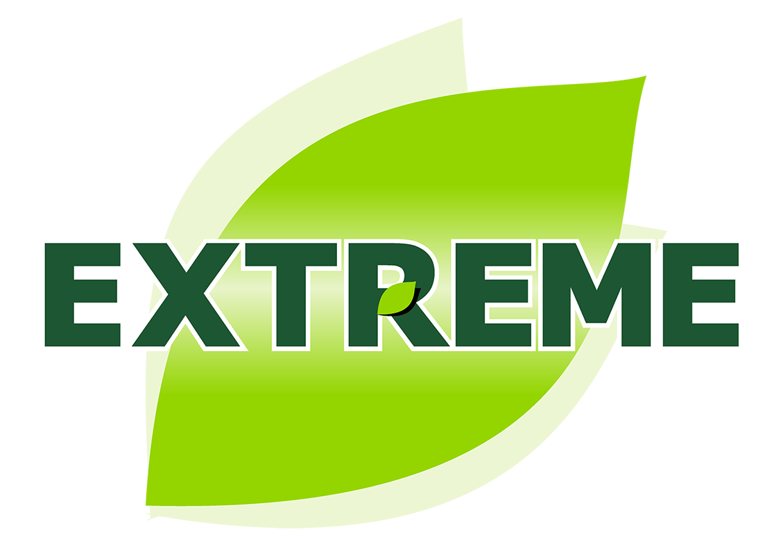 eckobell.com.mx