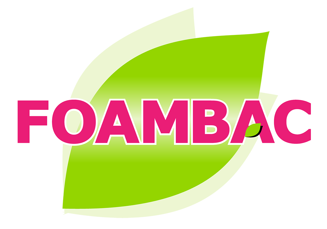 eckobell.com.mx